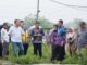 Bupati Maesyal Bersama Dewan H. Sobri, Camat Arif Rachman, Kades Nena saat melakukan pemantauan langsung kondisi Kali Cirarab yang melintasi kawasan Desa Kadu Jaya.
