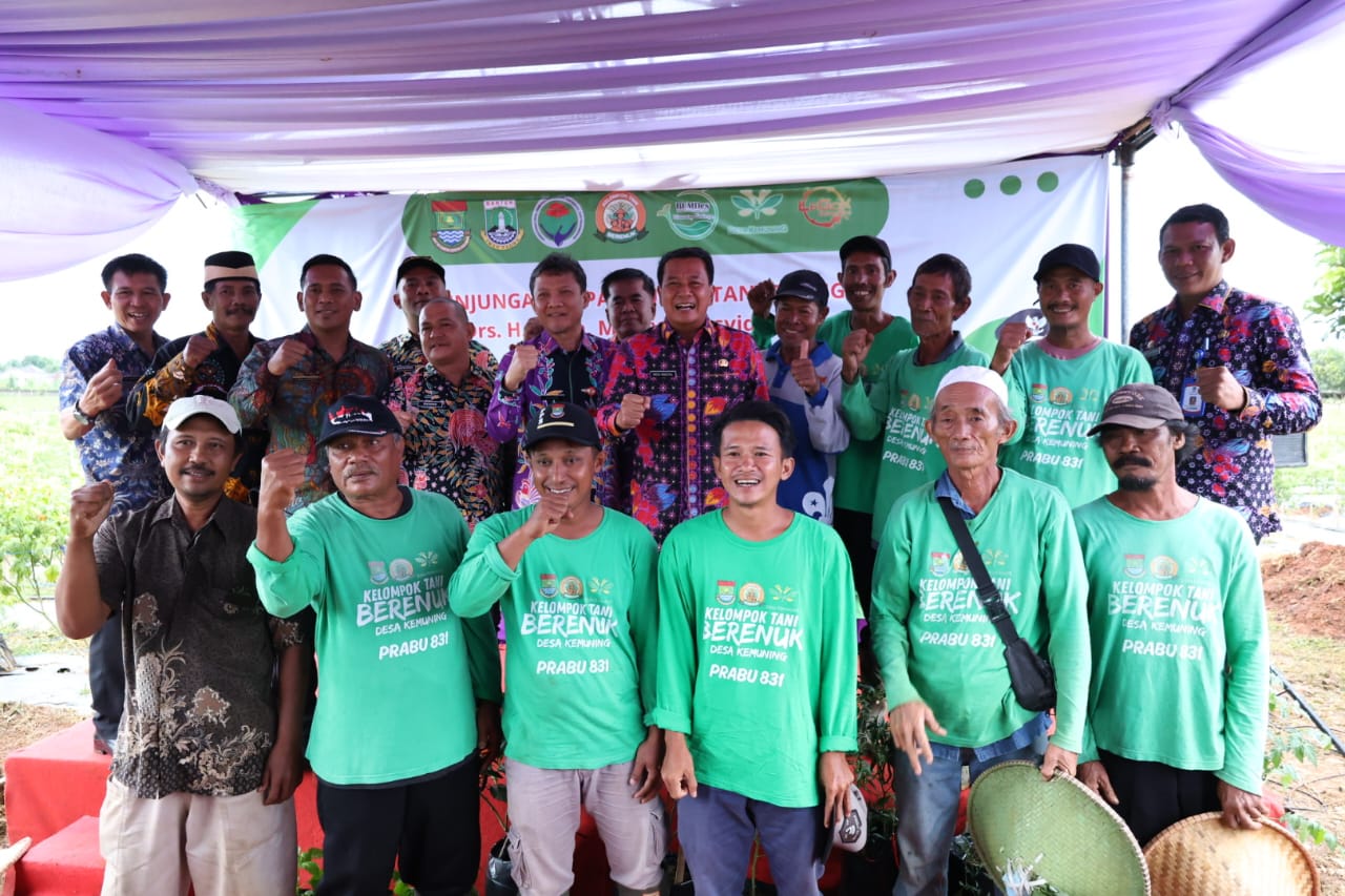 Bupati Maesyal Didampingi Camat Legok Yusuf saat panen bersama petani di Desa Kemuning.