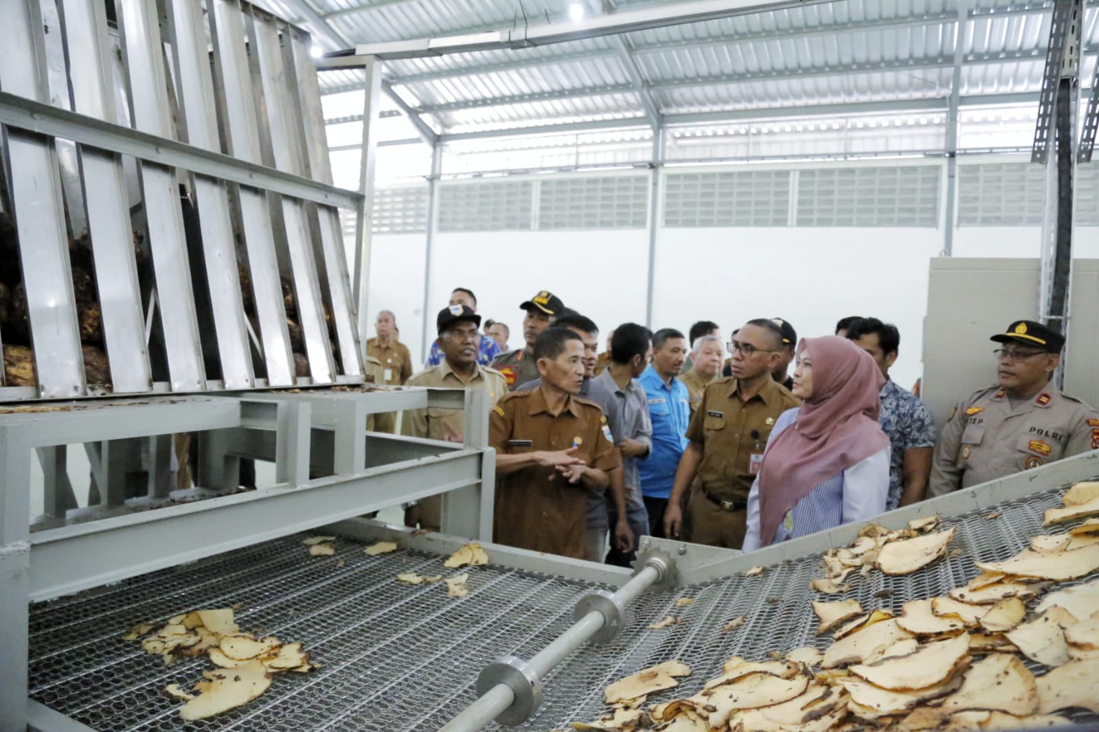 Bupati Pandeglang Irna Narulita saat mengecek pabrik pengolahan porang.