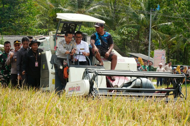 Wabup Tanto saat ikut panen padi bersama petani.