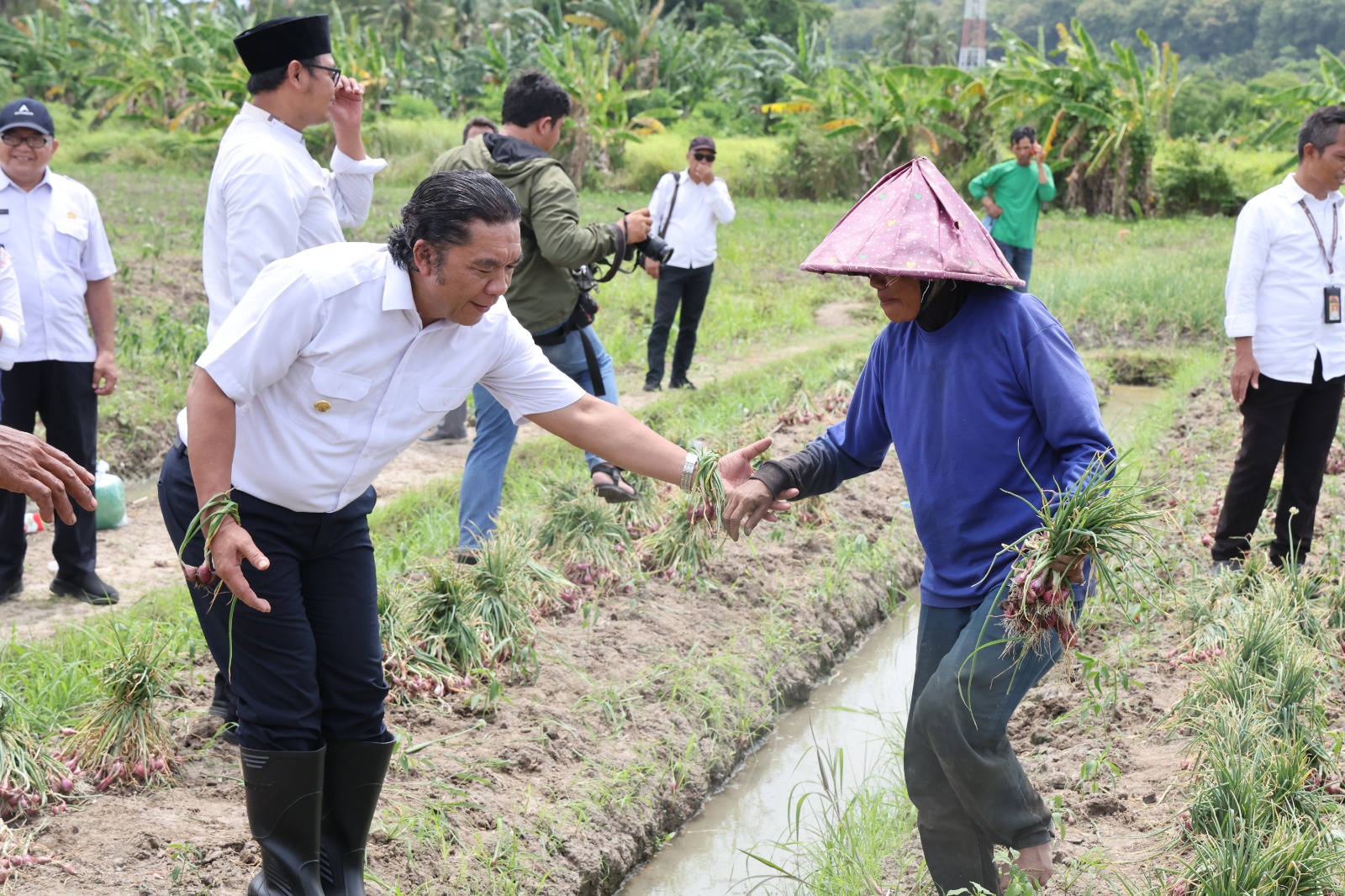 Pj Gubernur Banten Al Muktabar saat membantu petani.