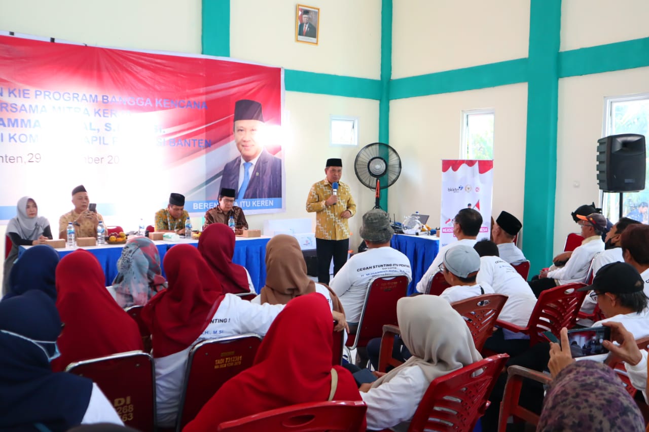 Muhammad Rizal DPR RI