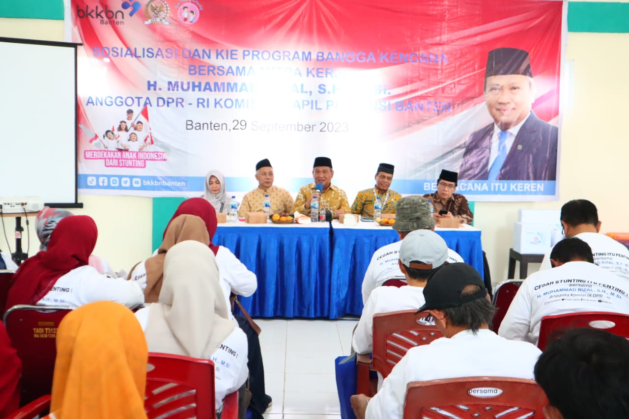 Muhammad Rizal DPR 