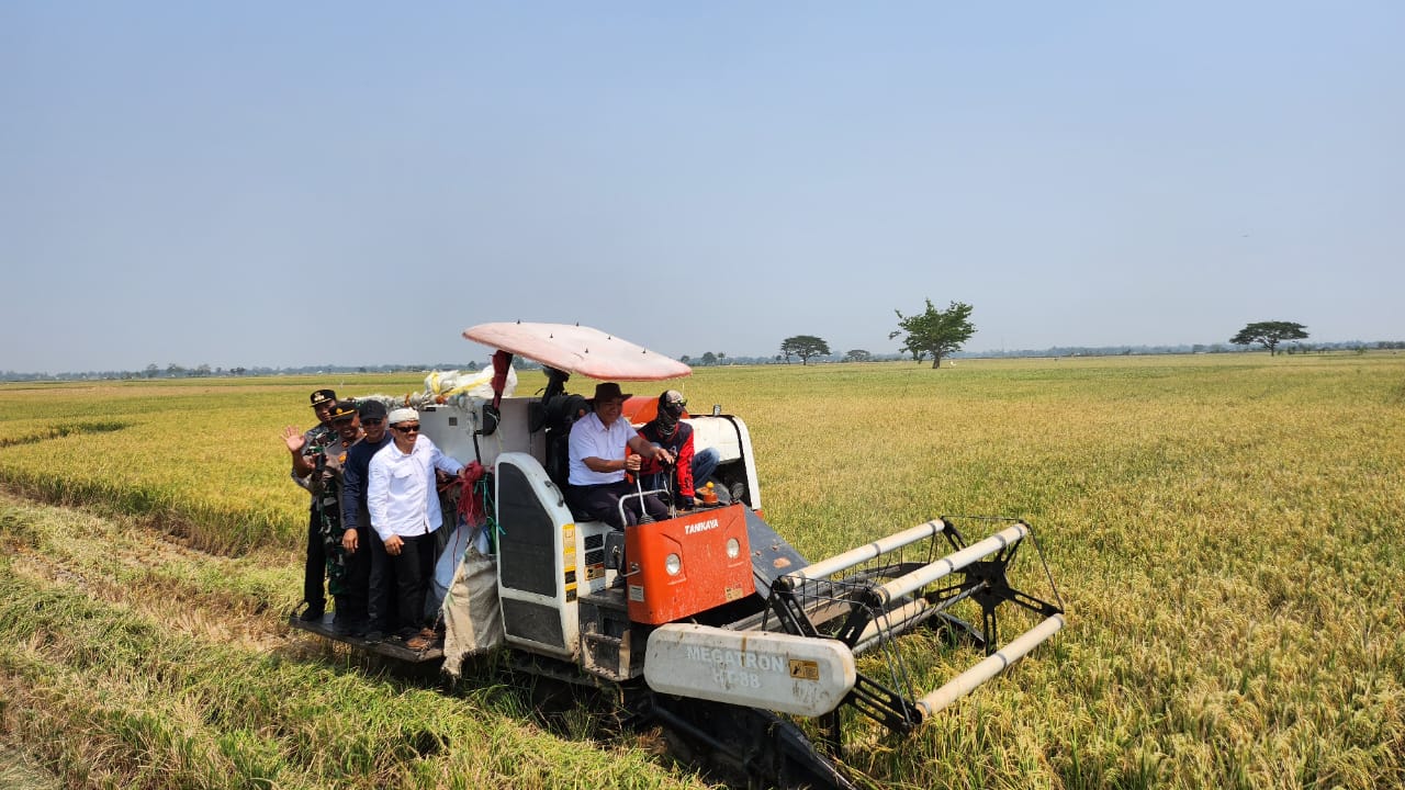 Pj Al Muktabar bersama jajarannya saat ikut petani panen padi.