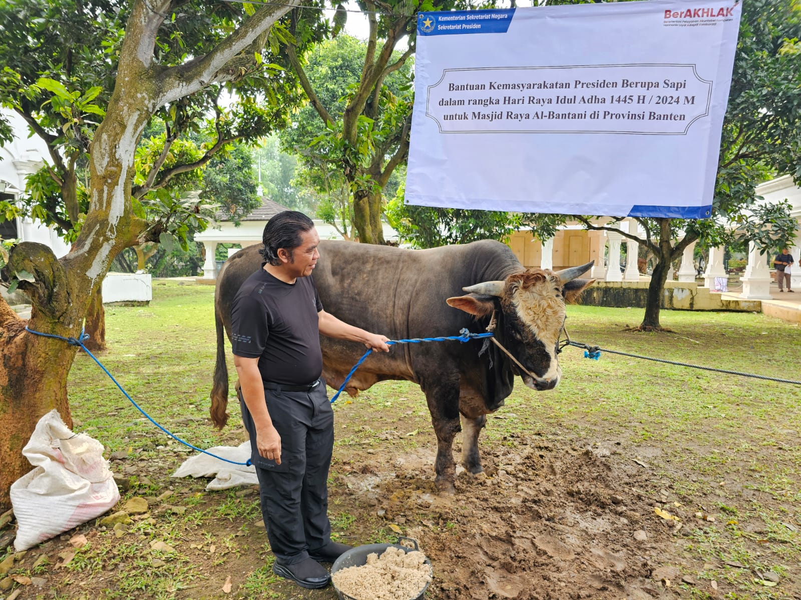 Pj Al Muktabar bersama jajarannya saat mengecek sapi kurban dari Presiden Jokowi.