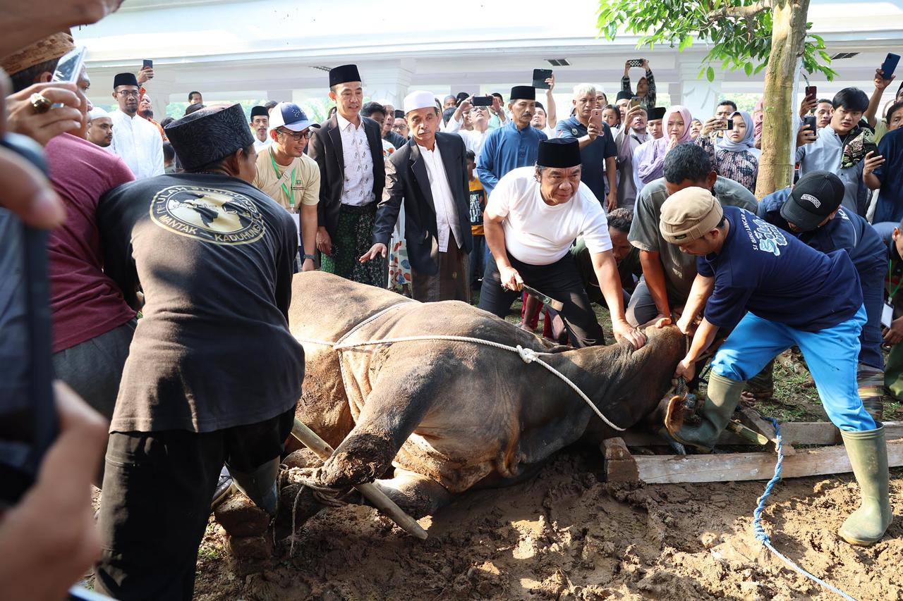 PJ Al Muktabar saat memotong sapi kurban presiden Jokowi.