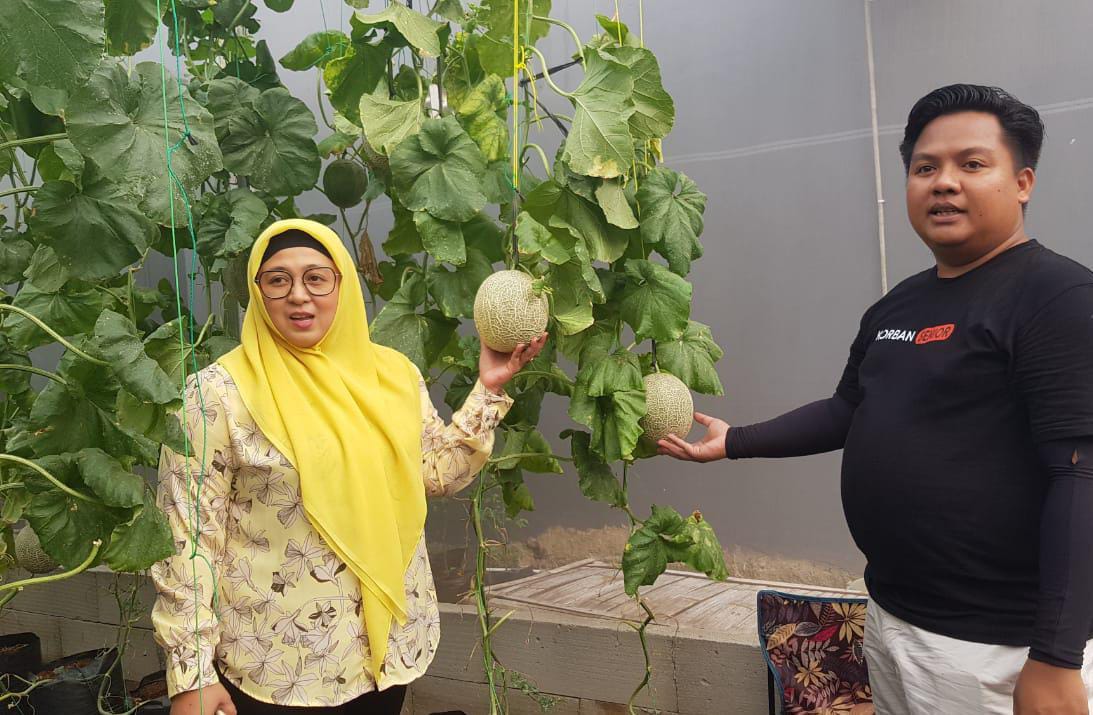 Intan Nurul Hikmah saat mengunjungi anak muda yang budidaya melon.