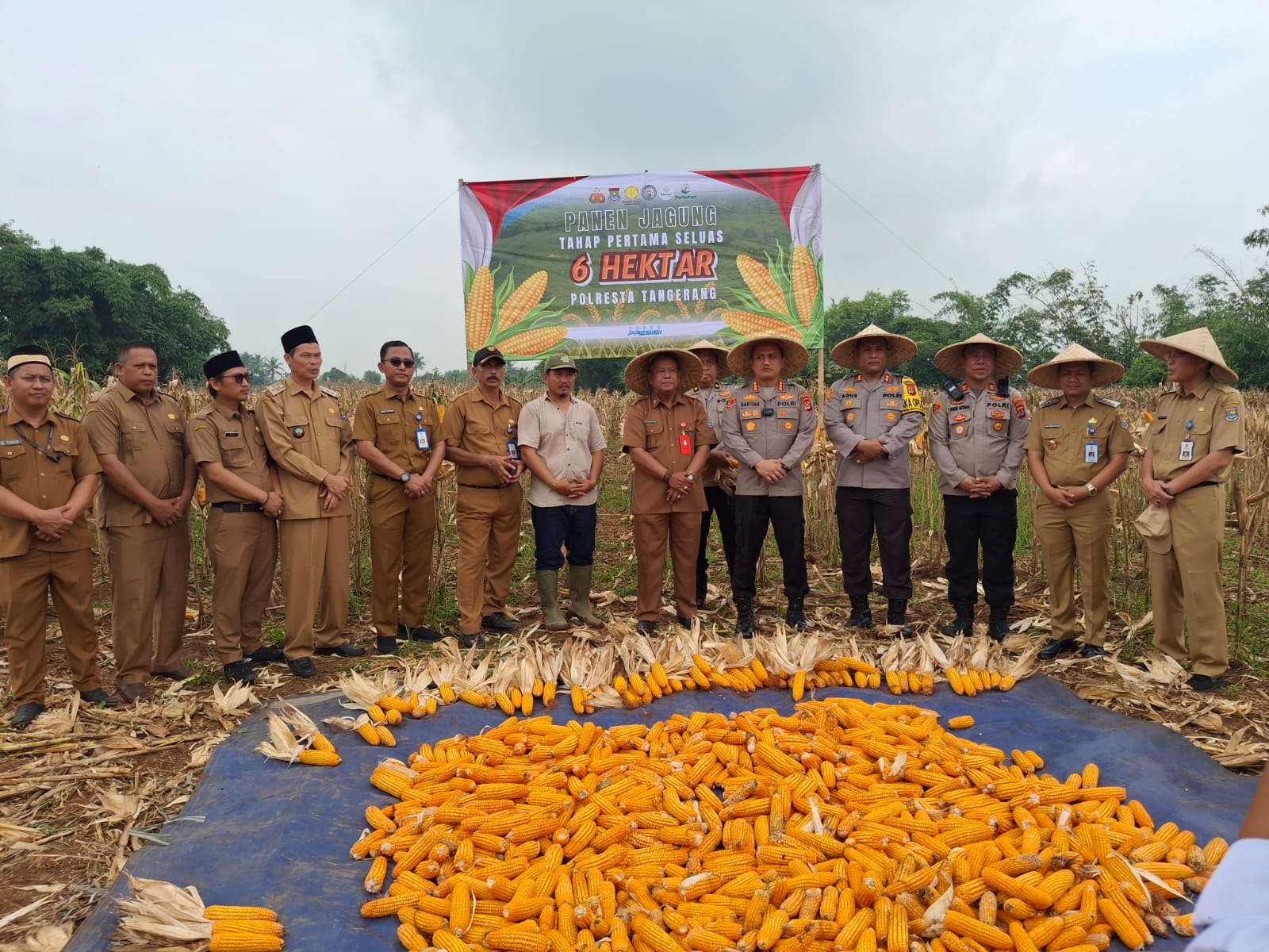 Camat Cucu Abdurrosyied bersama Kolresta Tangerang saat ikut panen jagung.