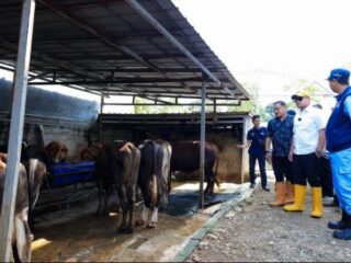 Pilar bersama jajarannya saat mengecek lapak hewan kurban di Tangsel.