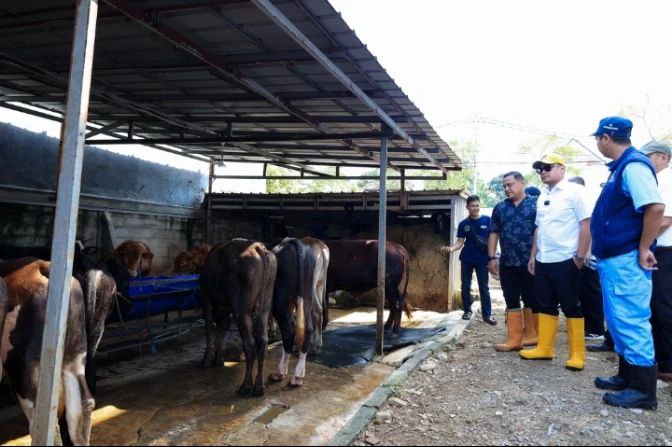 Pilar bersama jajarannya saat mengecek lapak hewan kurban di Tangsel.