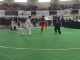 Atlet Pencak Silat saat bertanding.