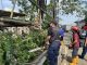 Personil BPBD saat memotong pohon yang rawan rubuh.