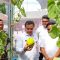 Sekda Soma saat ikut panen Melon Hidroponik hasil anak muda di Curug.