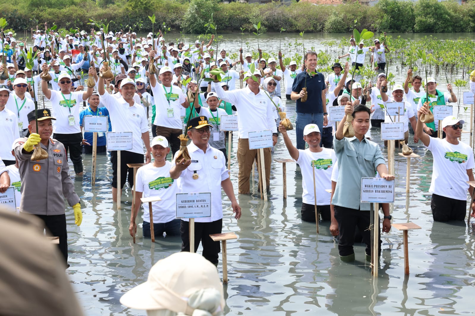 Wapres Gibran dan Gubernur Andra Soni dan pejabat lainnya saat menanam Mangrove.
