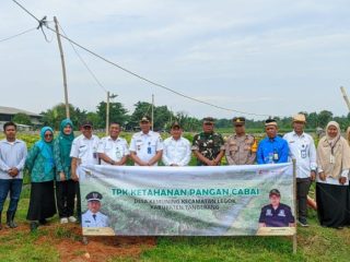 Camat Yusuf Dukung Program Ketahanan Pangan Penanaman Jagung di Desa Kemuning Legok