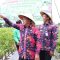 Bupati Maesyal Didampingi Camat Legok Yusuf saat panen bersama petani di Desa Kemuning.