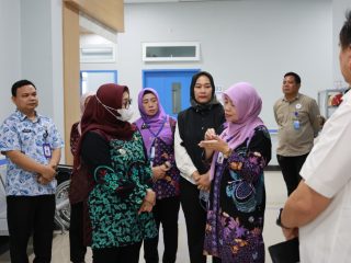 Wabup Intan Apresiasi RS Insan Nusantara Rajeg, Fasilitas Lengkap, Tinggal Tunggu BPJS