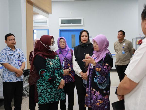 Wabup Intan Apresiasi RS Insan Nusantara Rajeg, Fasilitas Lengkap, Tinggal Tunggu BPJS