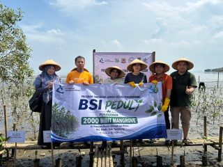 BSI Peduli: 2.000 Mangrove Ditanam di Mauk untuk Cegah Abrasi