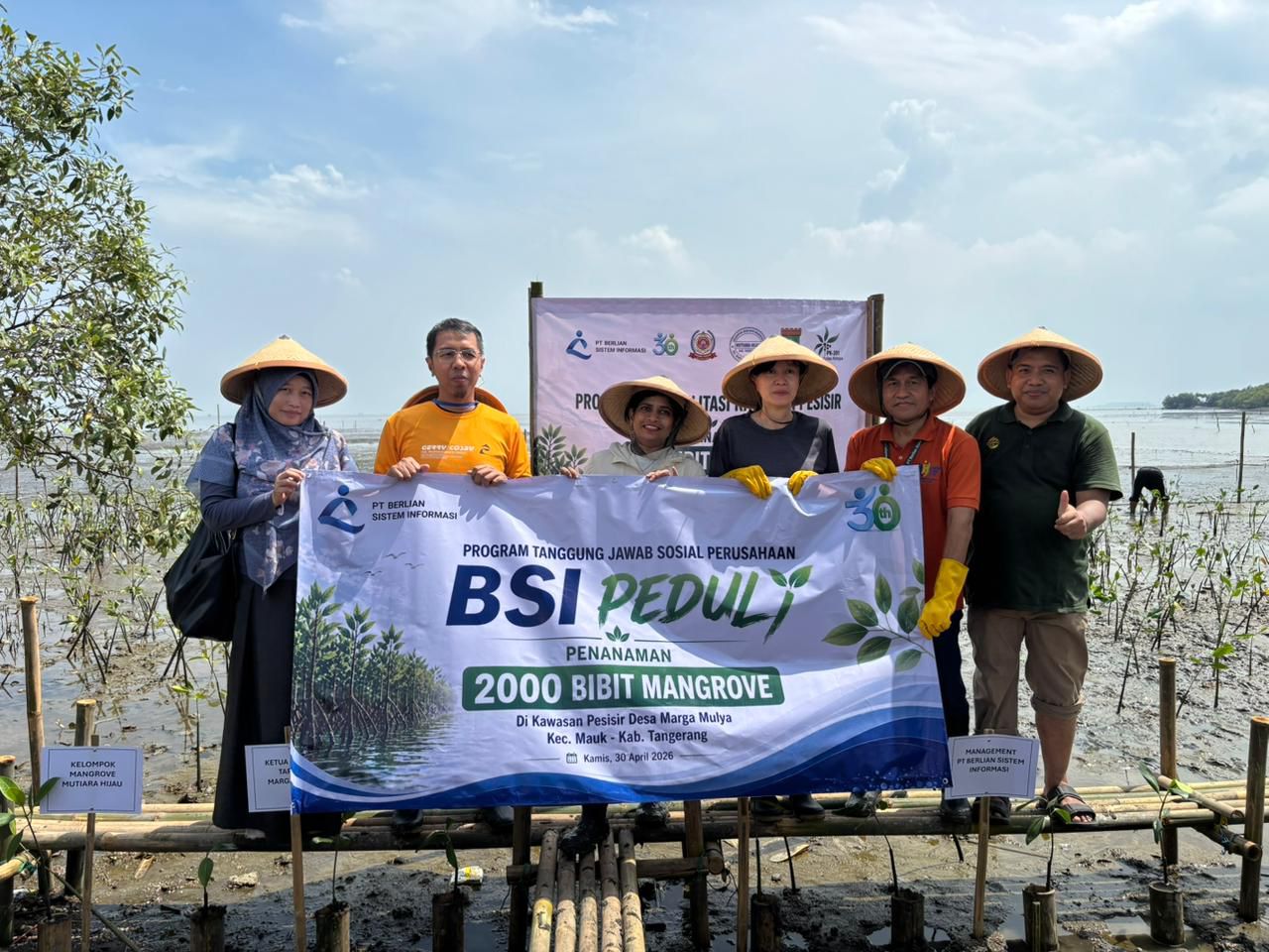 Karyawan PT BSI bersama masyarakat menanam mangrove di pesisir Desa Marga Mulya, Mauk, Tangerang, Kamis (30/4/2026), sebagai upaya mencegah abrasi dan memulihkan ekosistem pantai melalui program BSI Peduli.