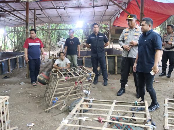 Polresta Tangerang Gerebek Judi Sabung Ayam di Jayanti