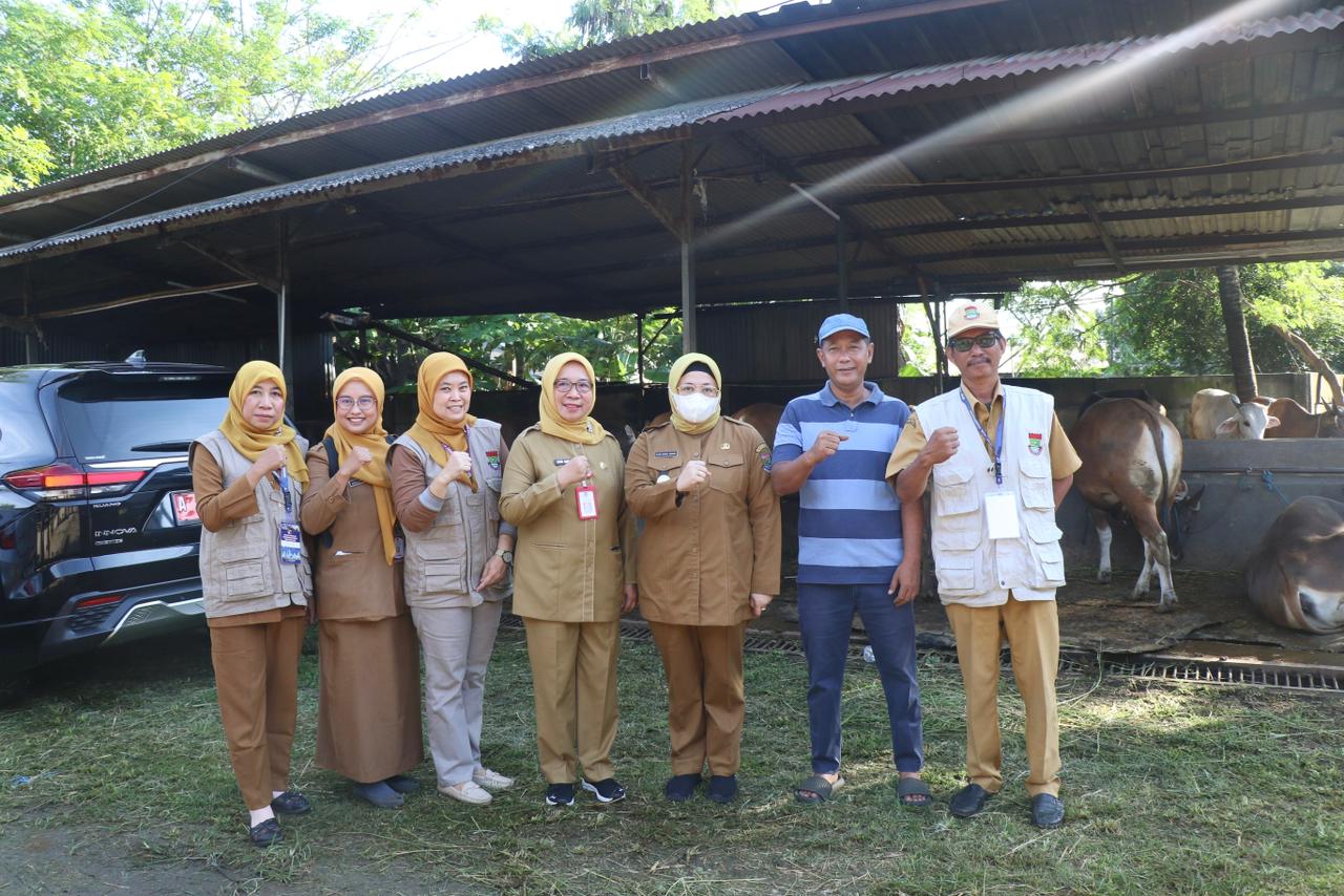 Wabup Intan bersama jajarannya saat monitoring pemeriksaan kesehatan hewan kurban.