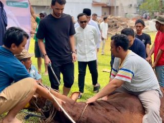 Iqrar Risyad Nasution Bagikan 2 Ribu Paket Daging Kurban untuk Warga Dapil 6 Kabupaten Tangerang