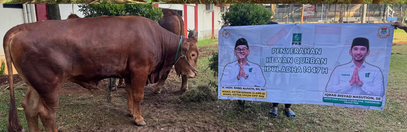 Penyaluran hewan kurban untuk warga dari Dewan Iqrar Risyad Nasution.