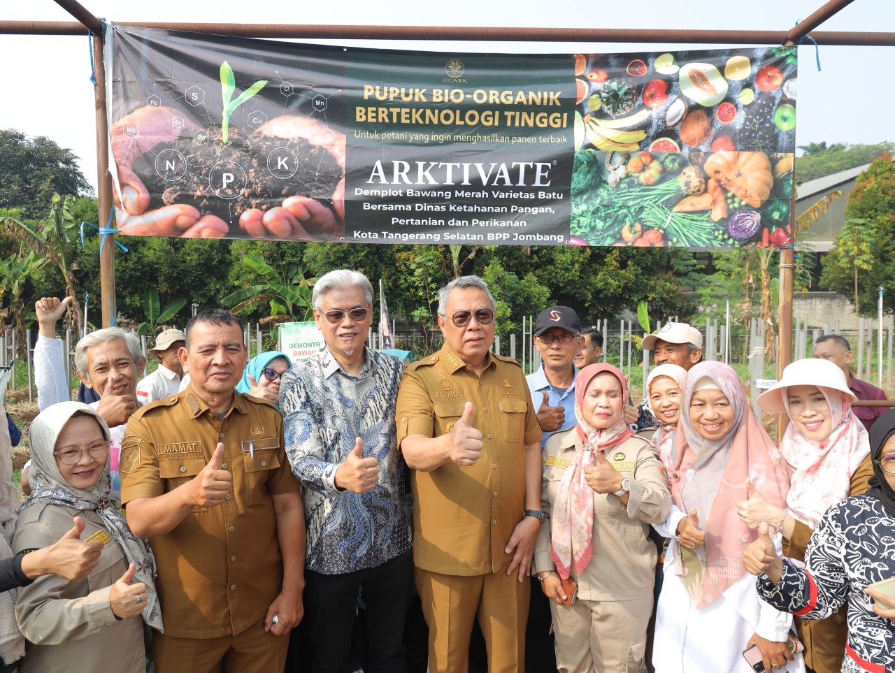 Wali Kota Benyamin saat kegiatan panen bawang merah varietas Batu.