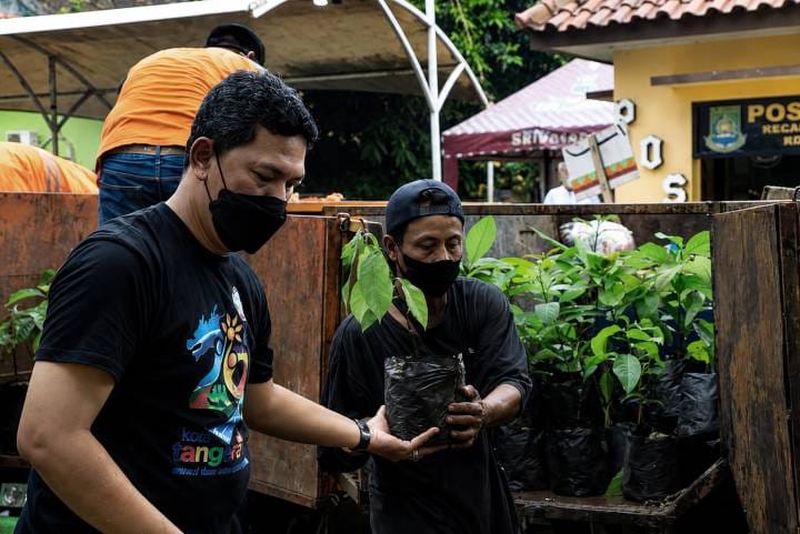 Penyiapan bibit pohon.