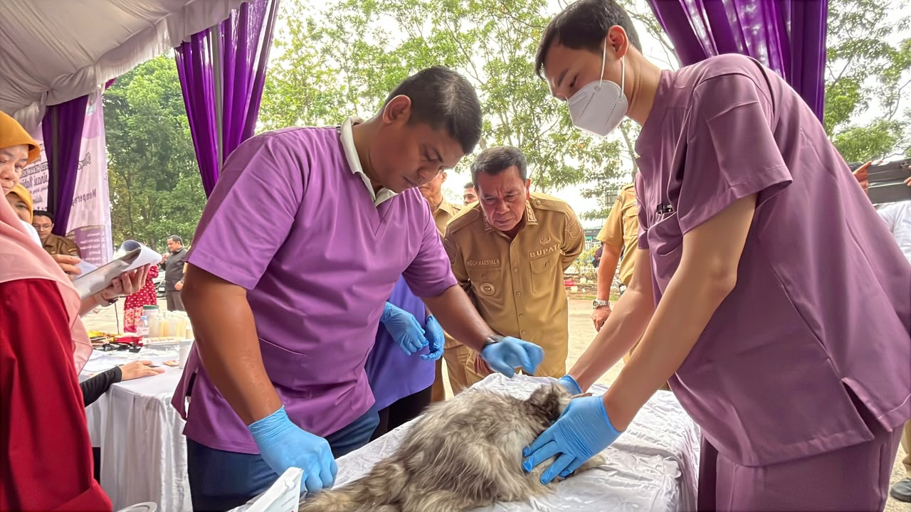 Kegiatan vaksinasi rabies gratis bagi hewan peliharaan.